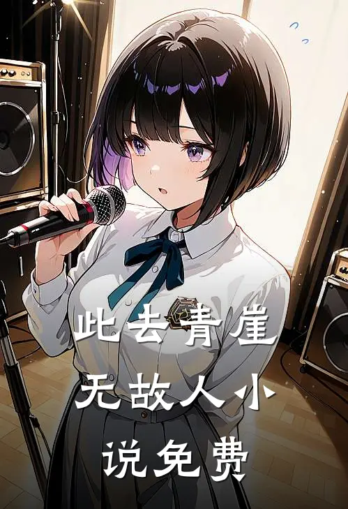 此去青崖无故人小说免费