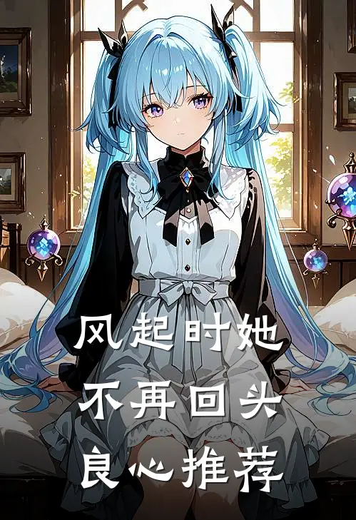 风起时她不再回头良心推荐