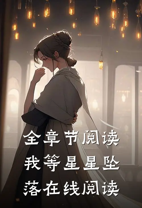 全章节阅读我等星星坠落在线阅读