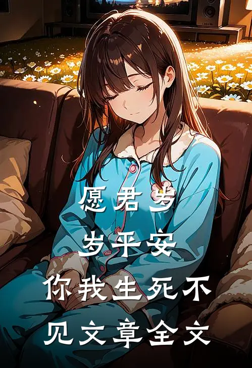 愿君岁岁平安,你我生死不见文章全文