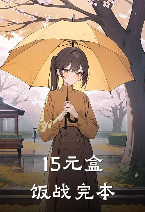 15元盒饭战完本