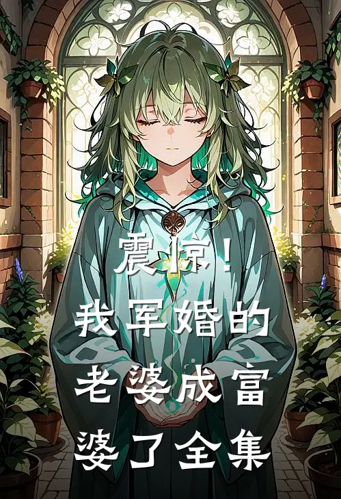 震惊！我军婚的老婆成富婆了 全集