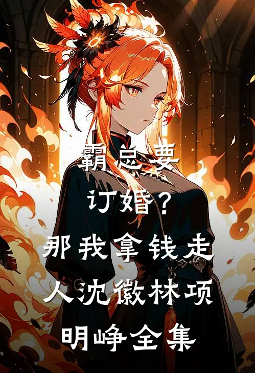 霸总要订婚？那我拿钱走人沈徽林项明峥 全集