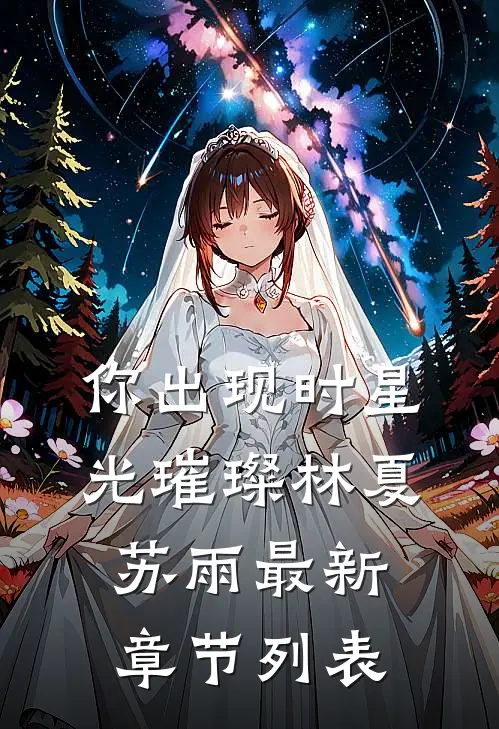你出现时星光璀璨林夏苏雨最新章节列表