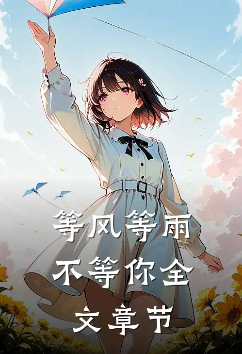 等风等雨不等你全文章节