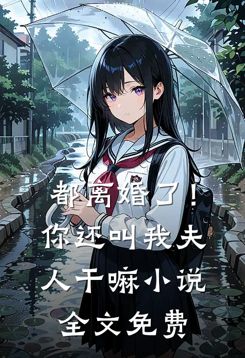 都离婚了！你还叫我夫人干嘛小说全文免费