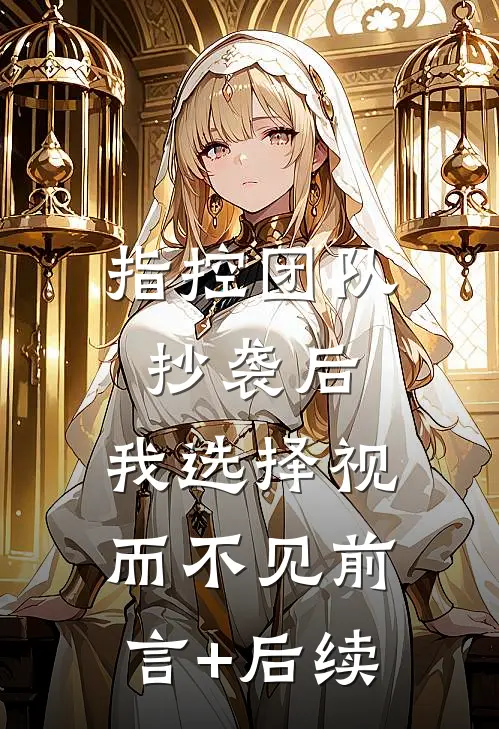 指控团队抄袭后，我选择视而不见前言+后续