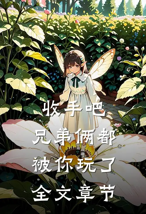 收手吧，兄弟俩都被你玩了全文章节