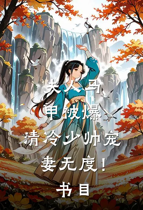 夫人马甲被爆，清冷少帅宠妻无度！书目