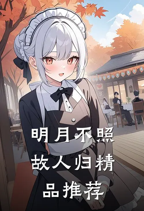明月不照故人归精品推荐