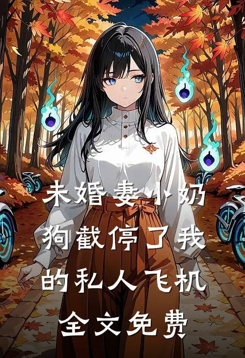 未婚妻小奶狗截停了我的私人飞机全文免费