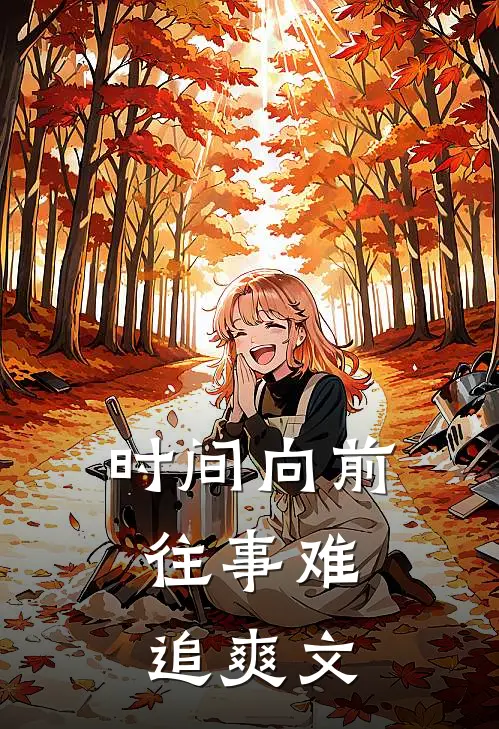 时间向前，往事难追爽文
