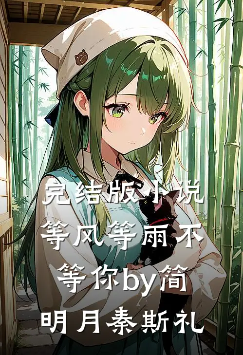 完结版小说等风等雨不等你by简明月秦斯礼