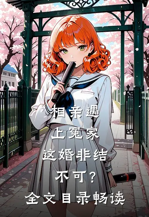 相亲遇上冤家，这婚非结不可？全文目录畅读